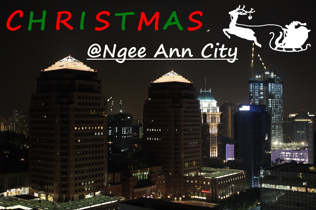 Christmas @ Ngee Ann